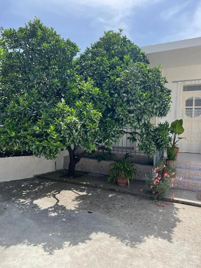 Rooms For Rent Habipi Wlora